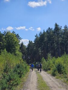 rowerzysta na trasie rowerowej w lesie