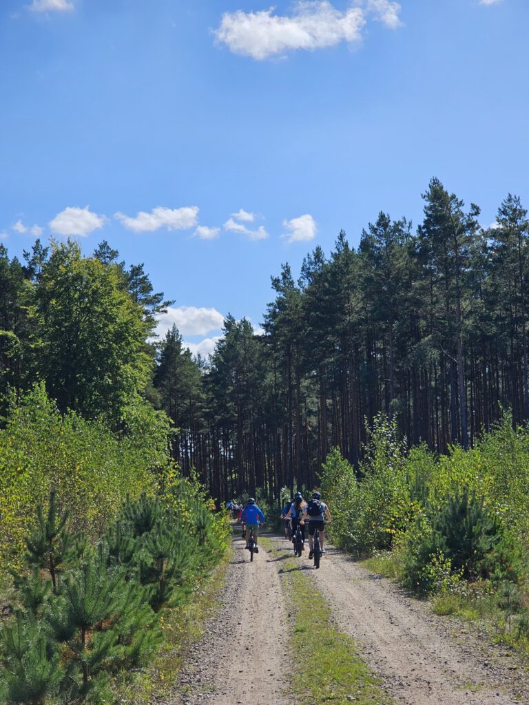 rowerzysta na trasie rowerowej w lesie