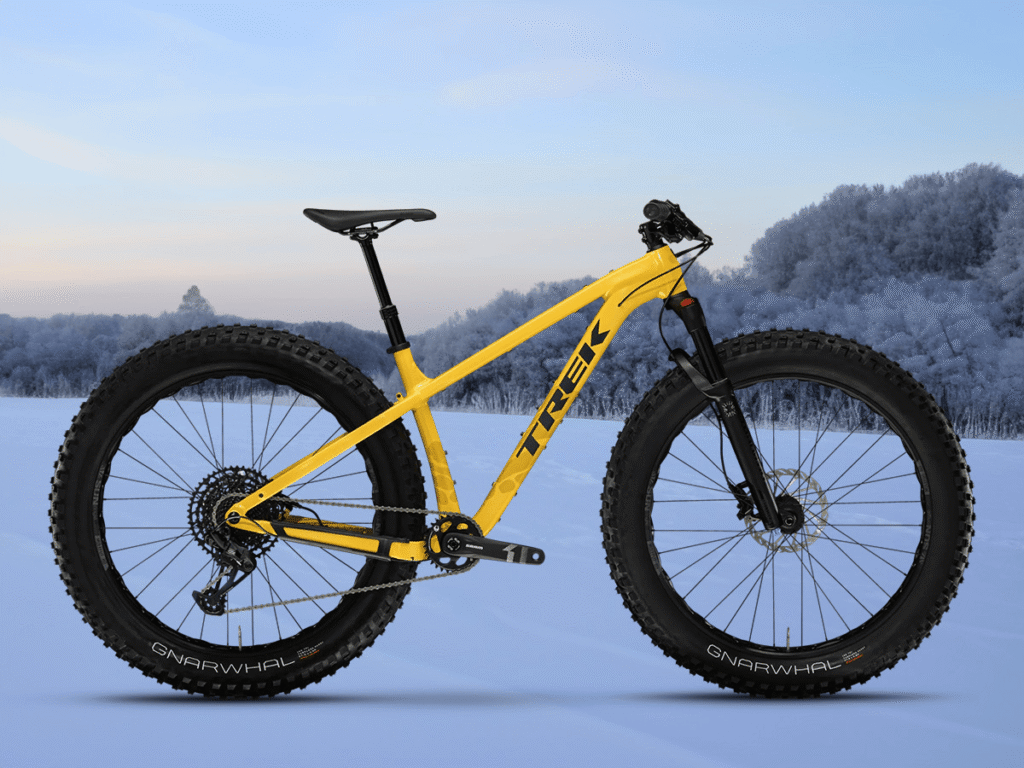 rower w zimowym krajobrazie